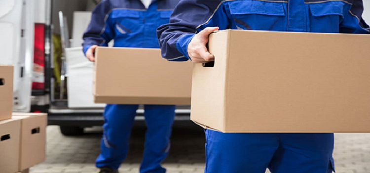 Manual-Handling-Training